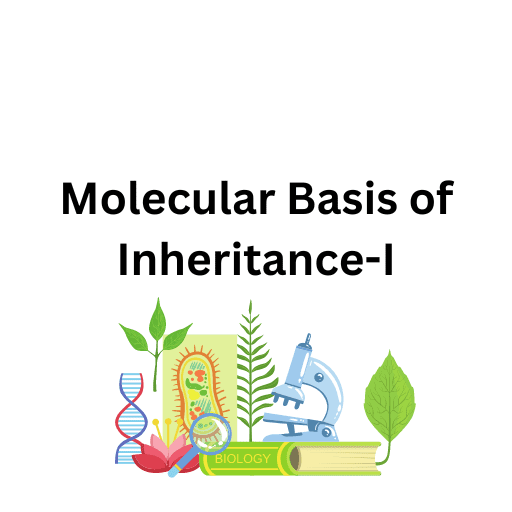 Molecular Basis of Inheritance-I